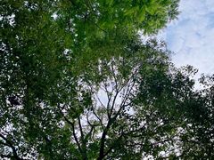 -成都泥邦陶艺民宿(洛带店)