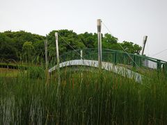 -白塘生态植物园