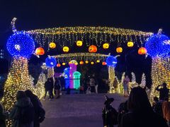 -南湖梦幻岛
