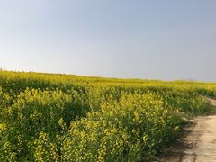 -苏州吴中太湖旅游区