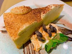 -飞行喵MR PILOT|猫舍·猫咖(静安大融城店)