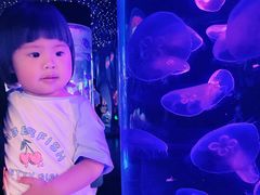-顺德南宏海立方海洋公园