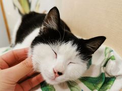 -厦门良筑精品酒店(厦门中山路店)