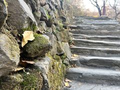 -南窖乡水峪村山情农家