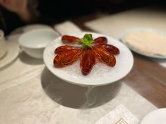 -觀芷隐轩