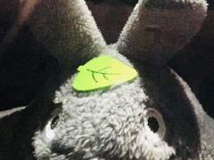 -长勺子东南亚(街道口店)