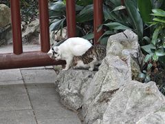 -静安公园(静安寺街道)