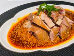 -许家菜(DT51店)