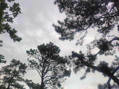 -东湖落雁景区