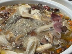 -滇铺子·云南特色菜·第九届野生菌美食节(曲靖万达店)