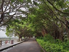 -大湾区中央湿地公园