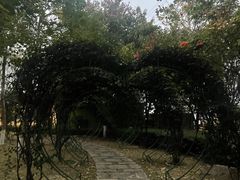 -仙岳公园