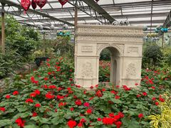 -南宫五洲植物乐园