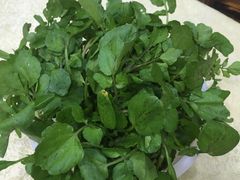 -濠轩阁特色生蚝火锅(水湾路店)