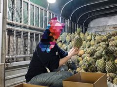 -曼阁市场水果批发市场