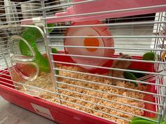 -龙猫仔乐园(惠福东路店)