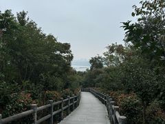 -池州市平天湖风景区