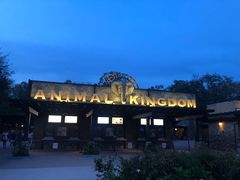 -奥兰多迪士尼动物王国乐园