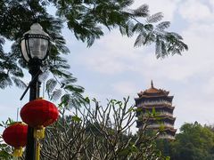 -东莞市大岭山森林公园