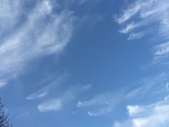 -闫府私房菜(经四路万达店)