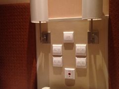 电谷国际酒店-电谷雅阁国际大酒店