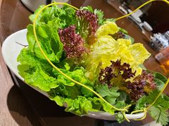 蔬菜拼盘-快乐小羊·内蒙牛羊肉火锅(流花中心店)
