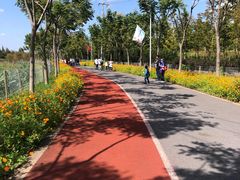 -上海长兴岛郊野公园