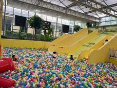 -南宫五洲植物乐园