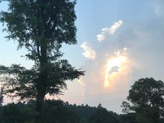 -成都蒲江花样年福朋喜来登度假酒店·宜客乐西餐厅