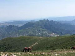-灵山