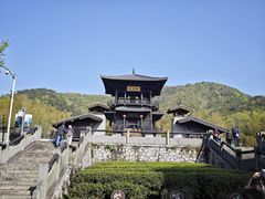 -大唐贡茶院