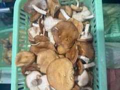 -野菌园·野生菌火锅首创第一家(关兴路总店)