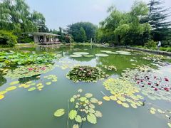 -国家植物园南园