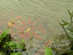 -南通洲际绿博园