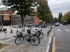 -清华大学-停车场