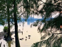 -海珠湖公园