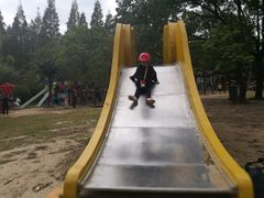 -崇明东平国家森林公园烧烤房车露营地