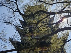 -常熟方塔园