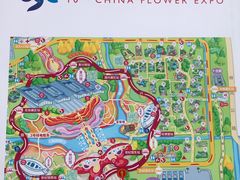 -东平国家森林公园