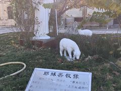 -洪家楼教堂