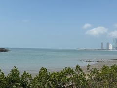 -万绿园