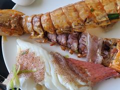 -欢乐海岸美食联盟