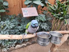 -南宫五洲植物乐园