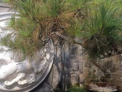 -和风景里酒店(护国寺店)