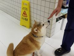 -柏萃动物医院·骨科·牙科