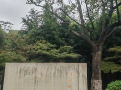 -习家池