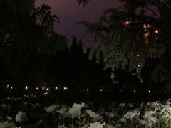 -四川大学(华西校区)