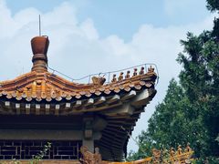 -北京十三陵国家森林公园蟒山景区