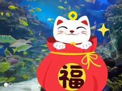 -海合安成都极地海洋公园