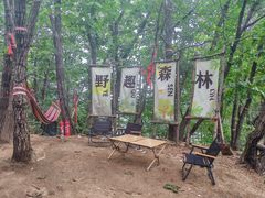 -六里坪国家森林公园